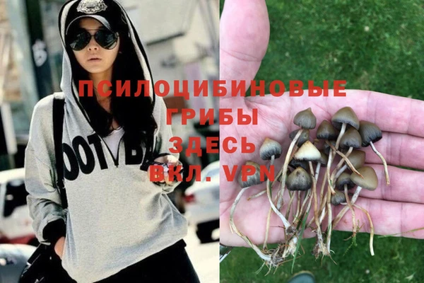 стаф Абдулино