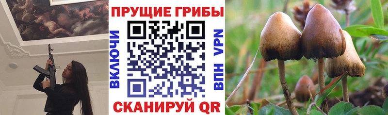 как найти наркотики  Партизанск  Псилоцибиновые грибы ЛСД 